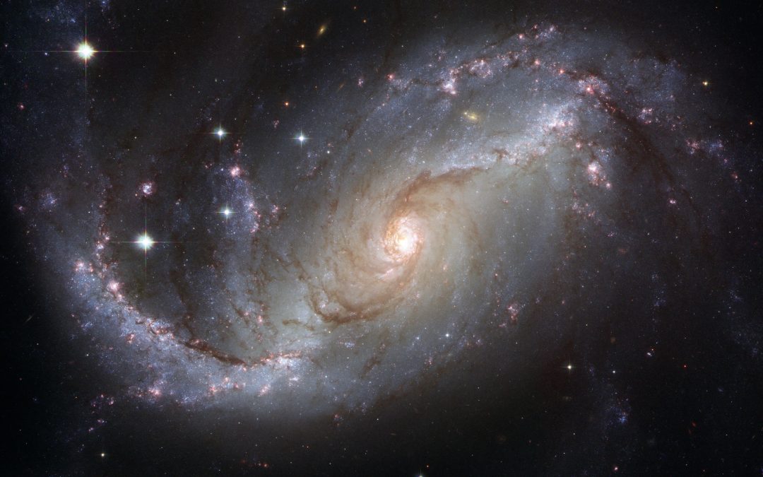 The Early Universe Was Already Building Architecture