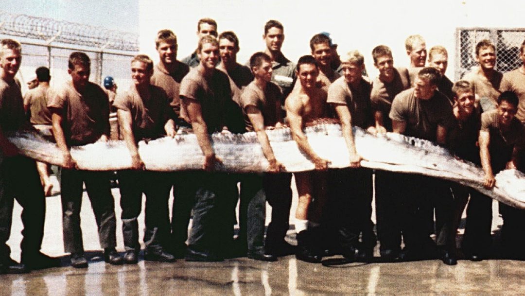 The Fish With No Tail, and the Two That Came Ashore Together