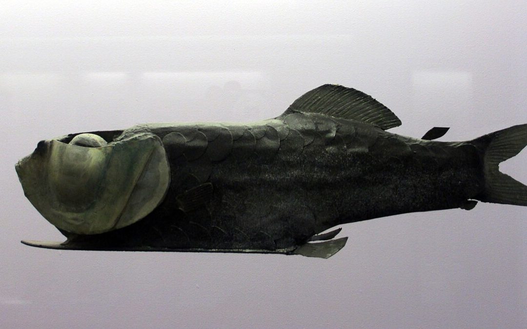 The Fish With the Green Eyes, and the Century It Spent in a Jar