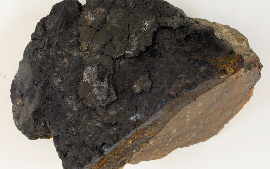 The Crust Under the Pacific That Counts Dead Stars